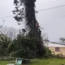 Segundo a Defesa Civil local, o fenômeno derrubou redes elétricas, árvores e postes, e destelhou ainda dezenas de residências. (Foto: Rádio Erval FM 104.9/Redes sociais)