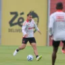 Foto: Ricardo Duarte/S.C. Internacional