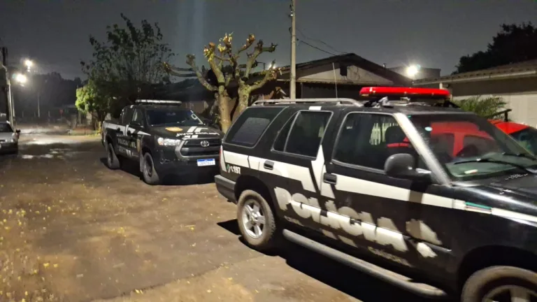 Fotos: Polícia Civil/Divulgação
