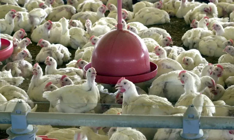 Foto: Arquivo/ Agência Brasil