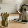 Como usar folhas de louro para espantar insetos e perfumar a casa