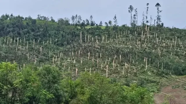 Cenário de destruição aponta para ocorrência de tornado | Foto: Bombeiros / Divulgação
