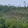 Cenário de destruição aponta para ocorrência de tornado | Foto: Bombeiros / Divulgação