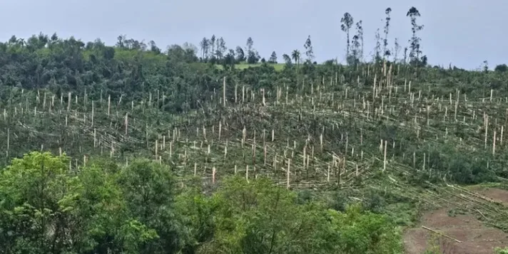 Cenário de destruição aponta para ocorrência de tornado | Foto: Bombeiros / Divulgação