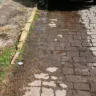 Moradores reclamam de vazamento de água há mais de 15 dias.