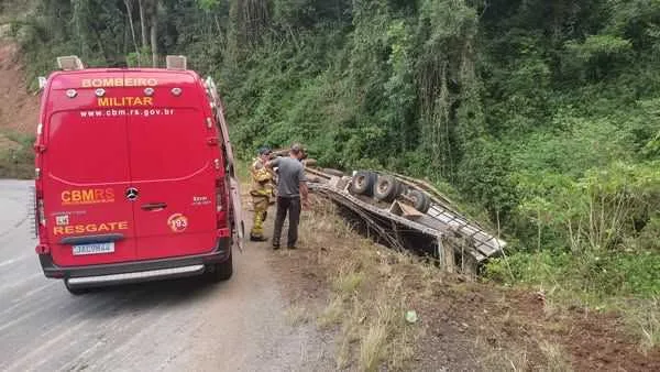 Acidente com caminhão boiadeiro mata parte do rebanho na ERS-441, em Guaporé