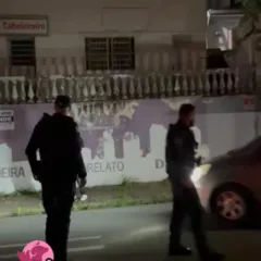 Animais são resgatados em operação de fiscalização em estabelecimento de hospedagem e cuidados. Imagem Reprodução Redes Sociais.