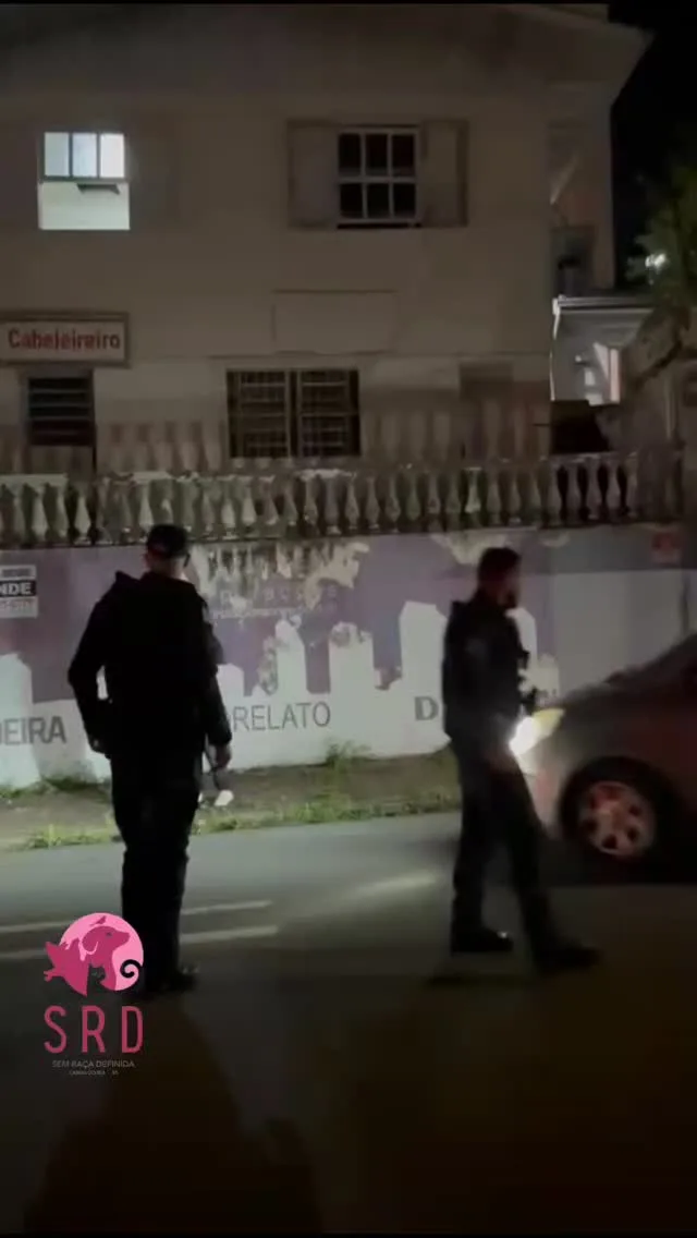 Animais são resgatados em operação de fiscalização em estabelecimento de hospedagem e cuidados. Imagem Reprodução Redes Sociais. Animais são resgatados em operação de fiscalização em estabelecimento de hospedagem e cuidados. Imagem Reprodução Redes Sociais.