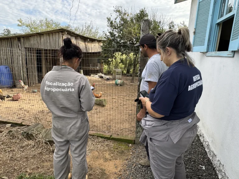 Foto: Ascom Seapi/Divulgação