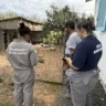 Foto: Ascom Seapi/Divulgação