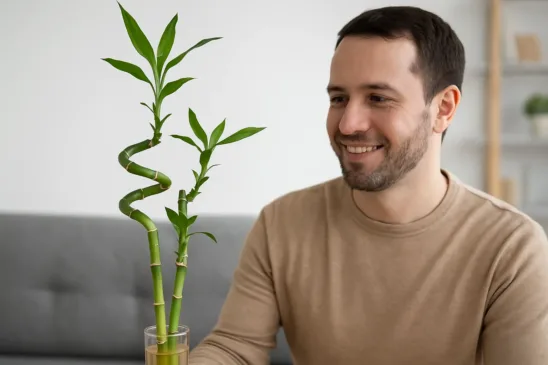Dica de poda salvou meu bambu da sorte torto e sem brilho