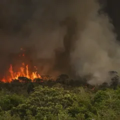 Foto: Marcelo Camargo/Agência Brasil