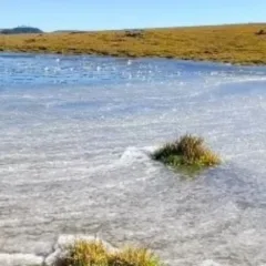 (Jéssica Padilha/Pref. São José dos Ausentes/Divulgação)