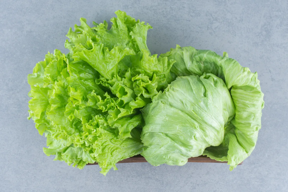 Esse hábito ao lavar alface pode aumentar o risco de contaminação - FOTO BY FREEPIK