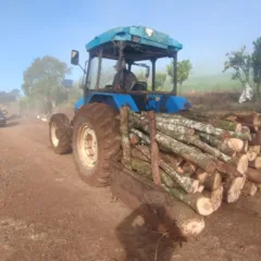 O fato ocorreu na Comunidade São Caetano, localizada no interior do município de Serafina Corrêa, no Rio Grande do Sul. Foto: Comunicação Social do 3º RPMon/Divulgação.