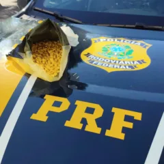Foto: PRF / Divulgação