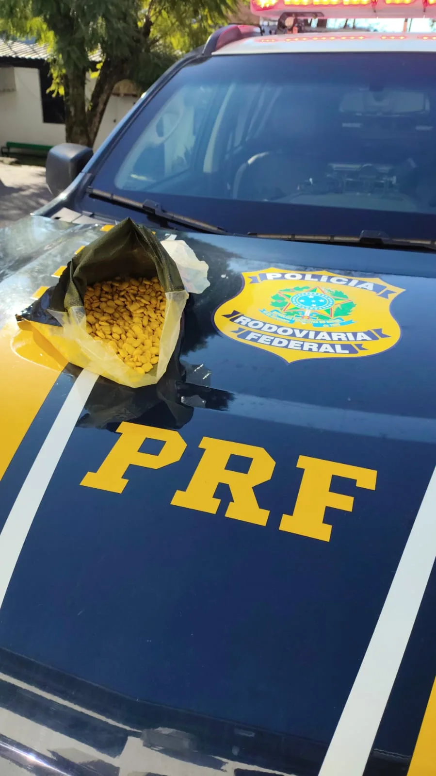 Foto: PRF / Divulgação