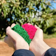 Foto: Andrelise Cavagnoli/Prefeitura de Flores da Cunha