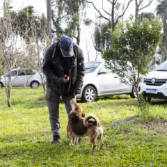 (Foto: Ricardo Rech/Divulgação)