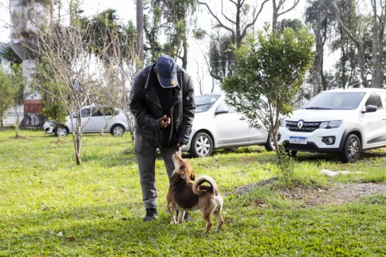 (Foto: Ricardo Rech/Divulgação)