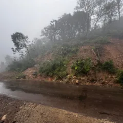 FARROUPILHA