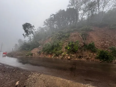 FARROUPILHA
