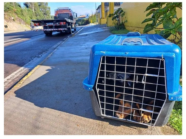 Foto: Brigada Militar/Divulgação