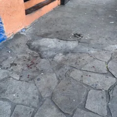 FARROUPILHA