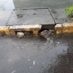 FARROUPILHA