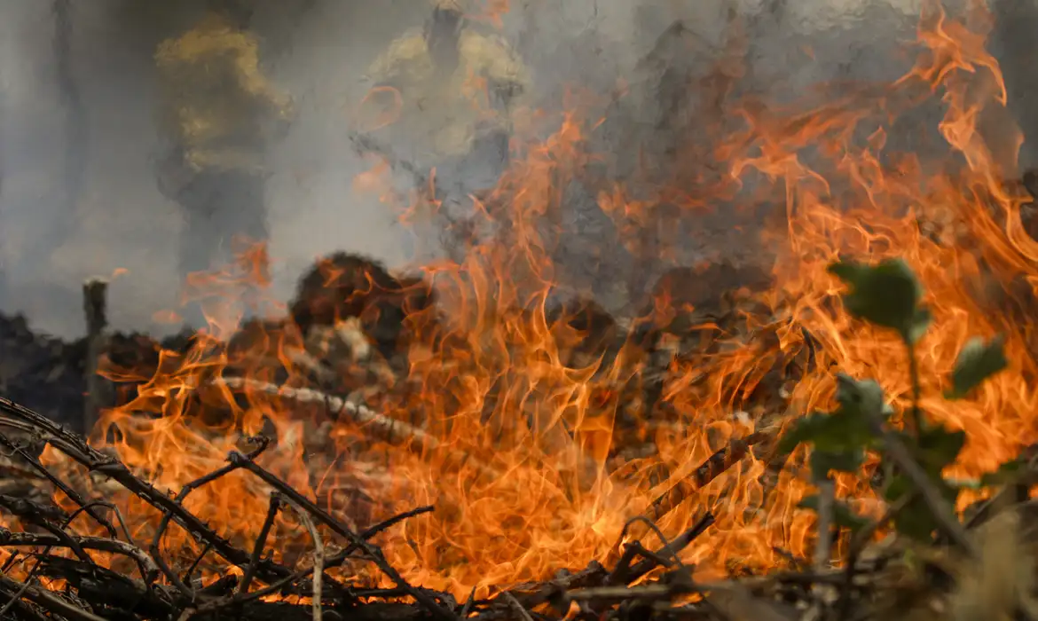 Imagem ilustrativa. Foto: Joédson Alves/ Agencia Brasil