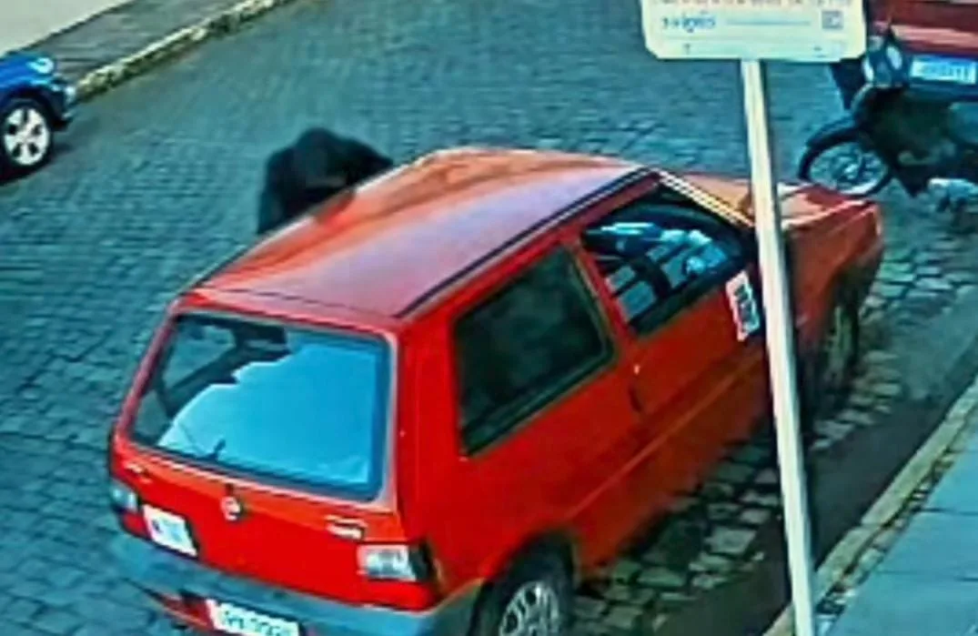 Homem é preso após roubo de celular com estilete no centro de Bento Gonçalves