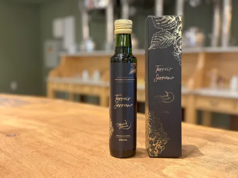 Azeite de oliva produzido na Serra Gaúcha é prata em concurso na Itália