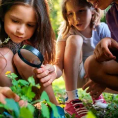 Crianças explorando a natureza com uma lupa, aprendendo sobre plantas e meio ambiente.