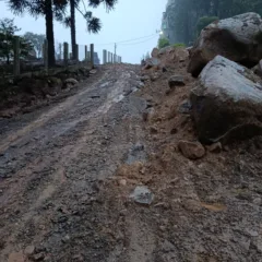 FARROUPILHA