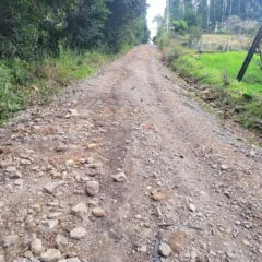 FARROUPILHA