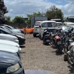 Foto: Detran/Divulgação