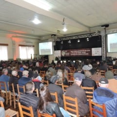 Jornada da Viticultura será nesta sexta-feira, em Flores da Cunha. Foto: Agência Positiva/Divulgação.