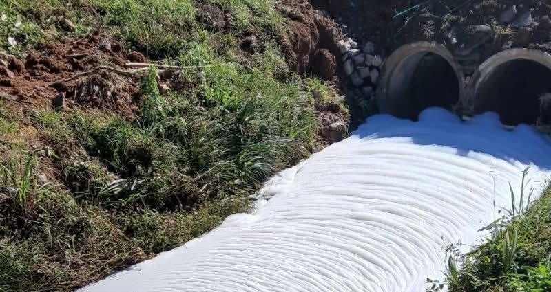 Espuma volta a surgir em arroio de Garibaldi e expõe reincidência de poluição química