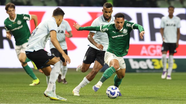 Fotos: Cesar Greco/Palmeiras