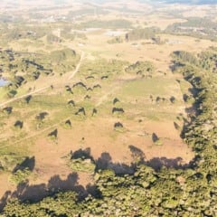 Foto: Fokuss Videojornalismo / Prefeitura de Caxias do Sul