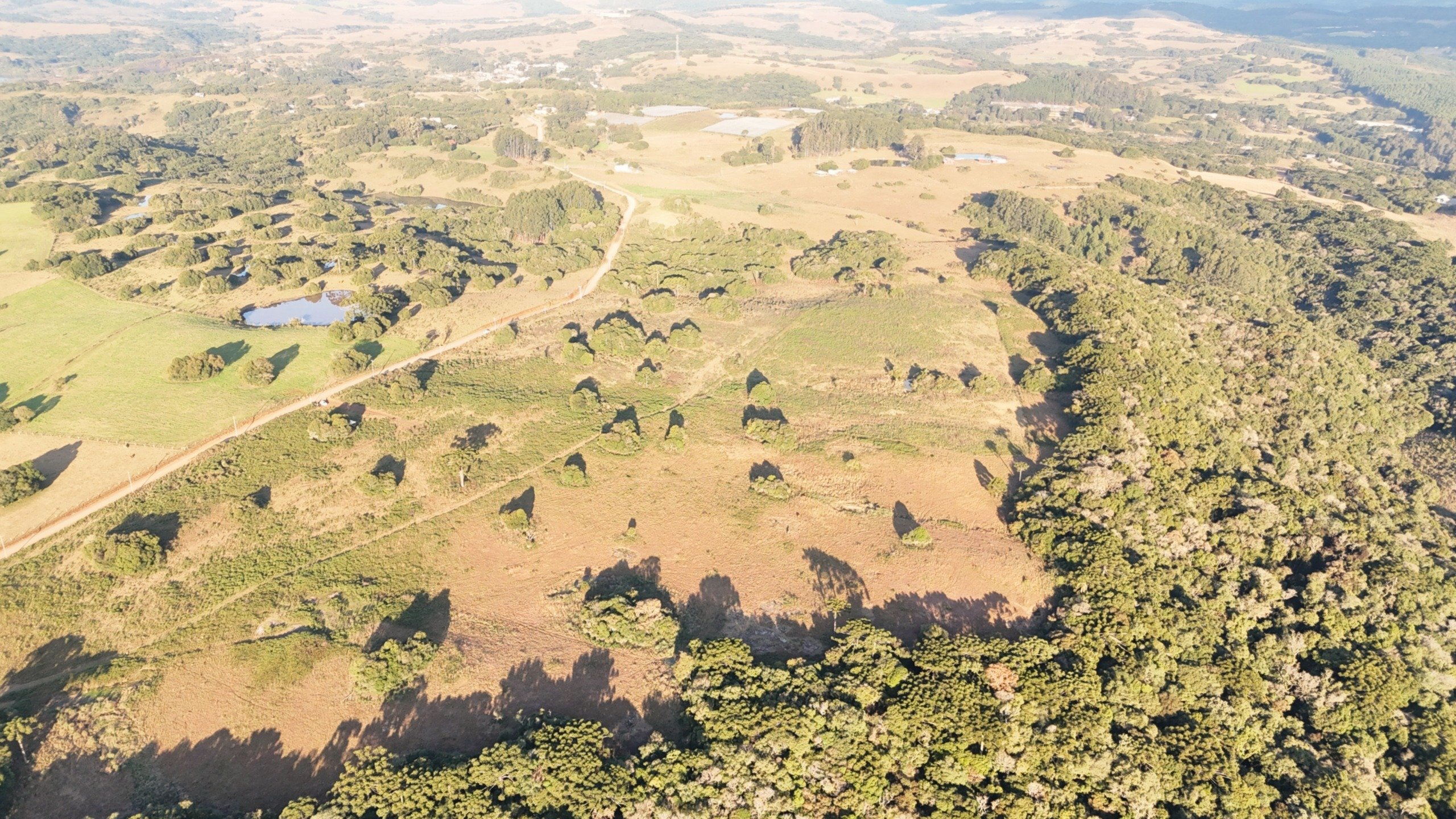 Prefeitura nomeia membros da comissão de instalação do Parque Rural de Caxias do Sul