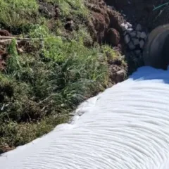 Espuma volta a surgir em arroio de Garibaldi e expõe reincidência de poluição química