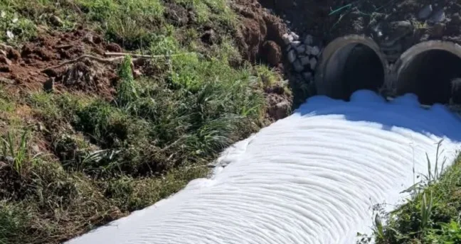 Espuma volta a surgir em arroio de Garibaldi e expõe reincidência de poluição química