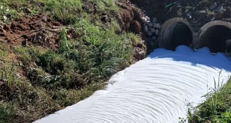 Espuma volta a surgir em arroio de Garibaldi e expõe reincidência de poluição química