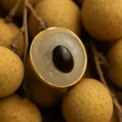 Olho-de-dragão a fruta rara que quase ninguém conhece e é cheia de benefícios