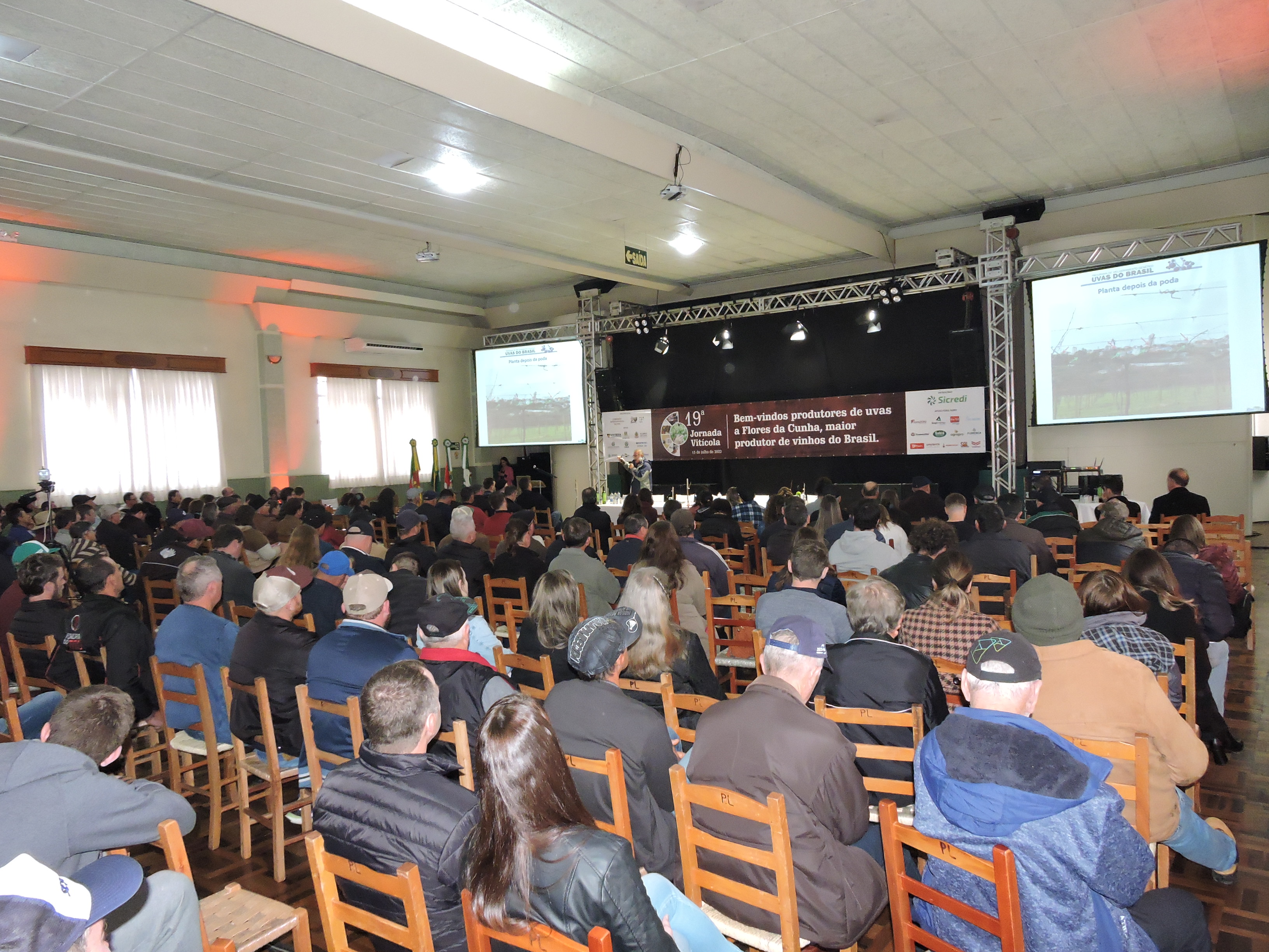 Jornada da Viticultura terá audiência pública sobre contratação de mão de obra