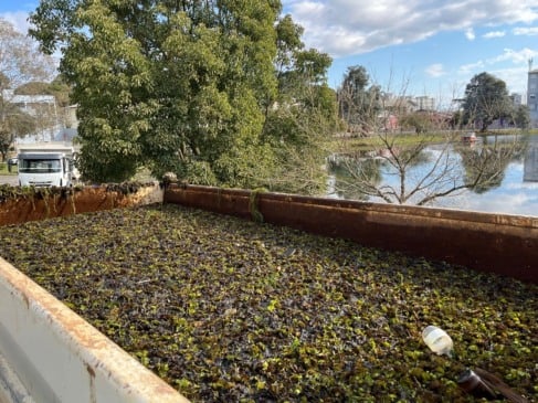 Prefeitura inicia limpeza da lagoa do Parque Oásis. Foto: Romila Amaral/Divulgação.