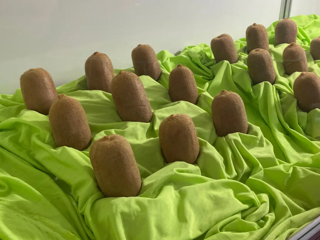 FARROUPILHA FARROUPILHA
