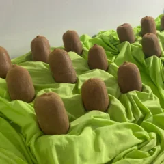 FARROUPILHA