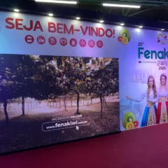 FARROUPILHA